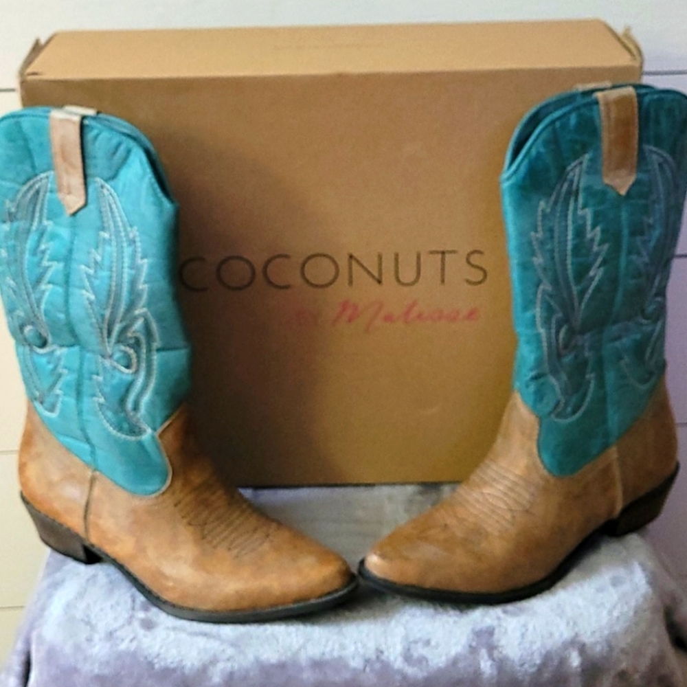 6.5 Coconuts by Matisse